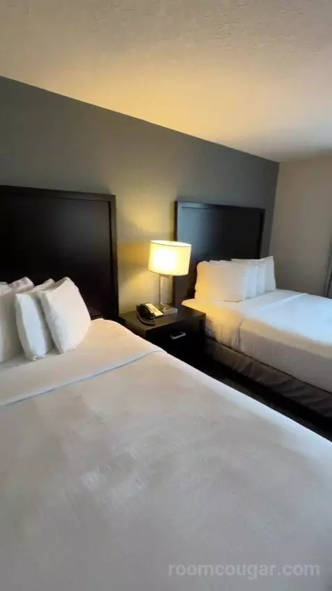 Queen Rooms with Two Queen Beds (#314) bed picture #5