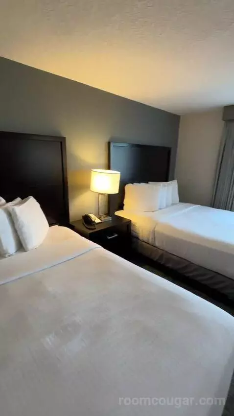 Queen Rooms with Two Queen Beds (#314) bed picture #6