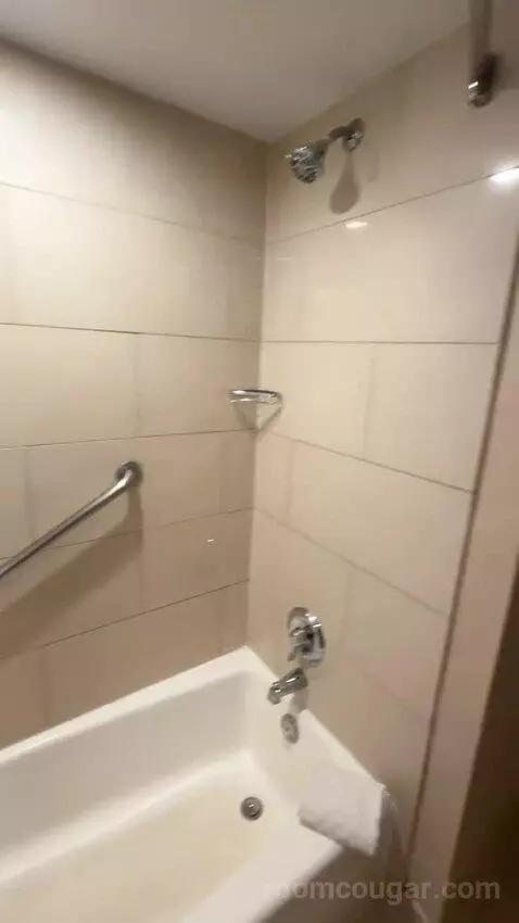 Queen Rooms with Two Queen Beds (#314) bathroom picture #4