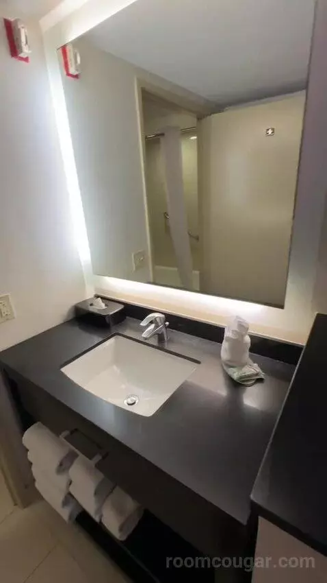 Queen Rooms with Two Queen Beds (#314) bathroom picture #10
