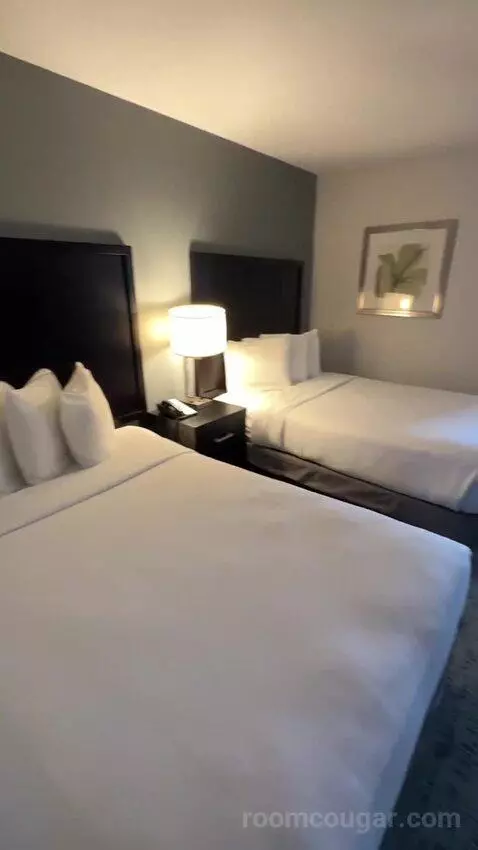 gogotravelwithjosh's review preview (Best Western Inn & Suites San Diego Zoo -SeaWorld Area)