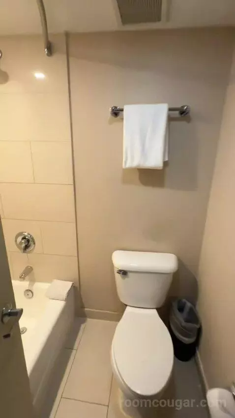 Suite with Two Double Beds and One Bunk Bed (#324) bathroom picture #2