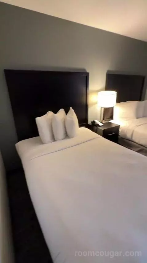 Suite with Two Double Beds and One Bunk Bed (#324) bed picture #1
