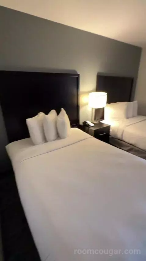 Suite with Two Double Beds and One Bunk Bed (#324) bed picture #2