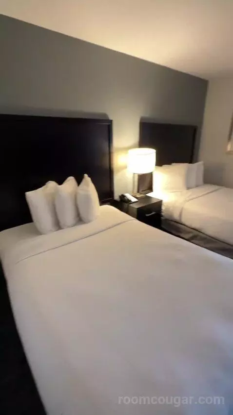 Suite with Two Double Beds and One Bunk Bed (#324) bed picture #3