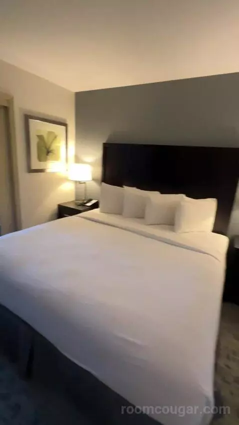 King Suite with Bunk Bed (#372) bed picture #2