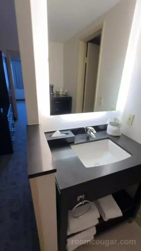 King Suite with Bunk Bed (#372) bathroom picture #2