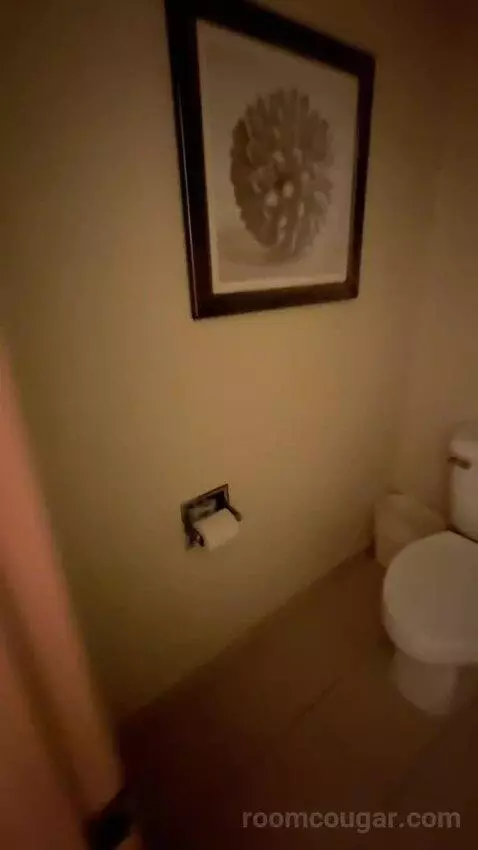King Suite with Bunk Bed (#372) bathroom picture #3