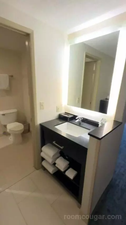 King Suite with Sofa Bed (#457) bathroom picture #1