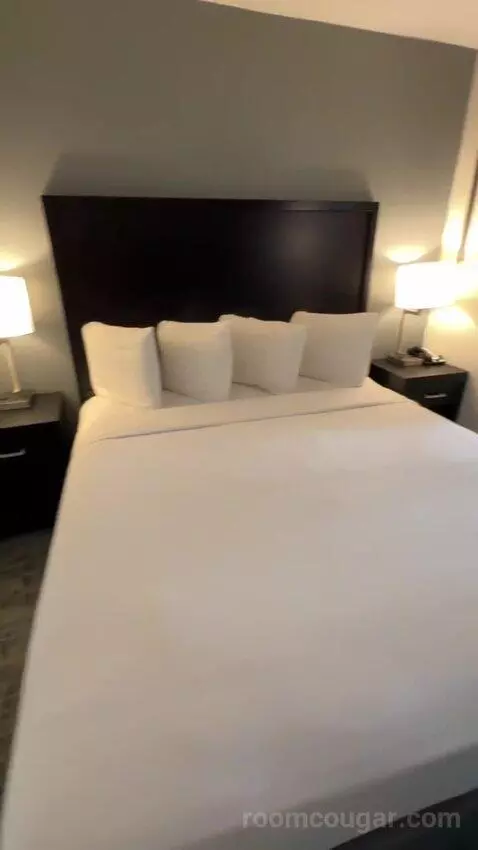 King Suite with Sofa Bed (#457) bed picture #5