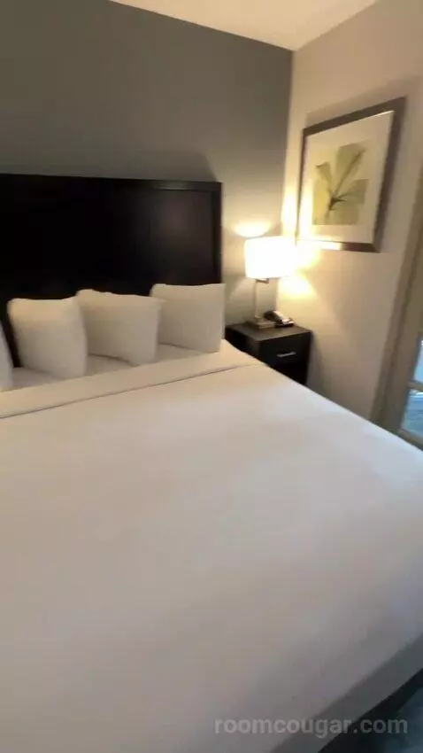 King Suite with Sofa Bed (#457) bed picture #8