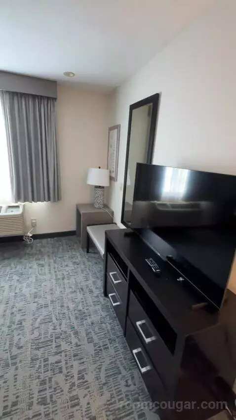 King Suite with Sofa Bed (#457) bed picture #10