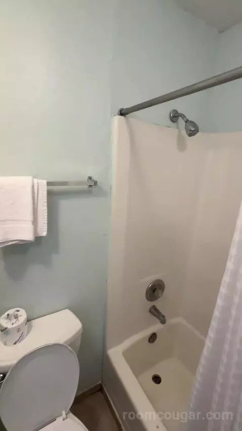 Queen Room with Two Queen Beds (#310) bathroom picture #5
