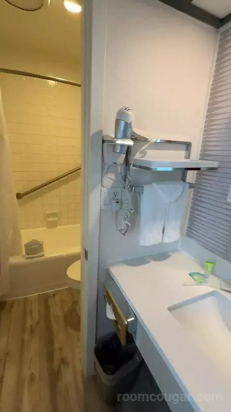 Queen Room with Two Queen Beds bathroom picture #3