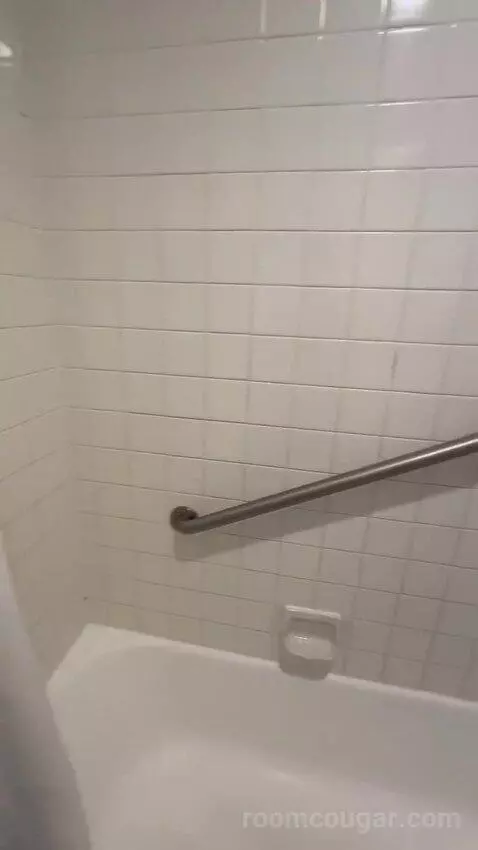 Queen Room with Two Queen Beds bathroom picture #9
