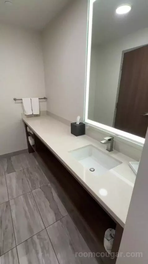King Room (#107) bathroom picture #7