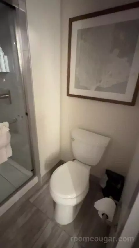 King Room (#107) bathroom picture #2