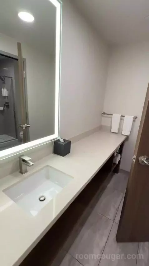 2 Queen Beds (#132) bathroom picture #1