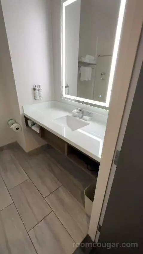 King Room (#127) bathroom picture #1