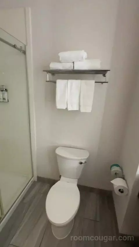 King Room (#127) bathroom picture #8