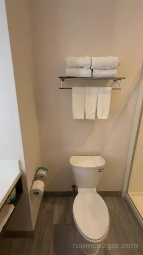 Queen Room with Two Queen Beds (#132) bathroom picture #6