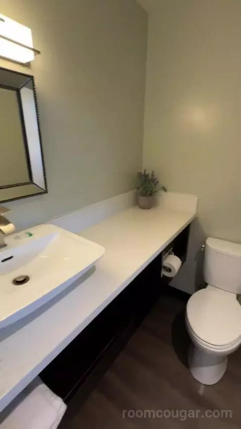 King Room (#253) bathroom picture #1