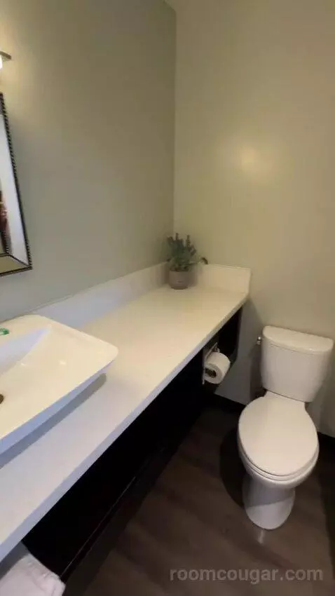 King Room (#253) bathroom picture #2