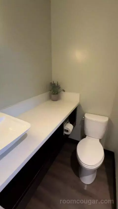 King Room (#253) bathroom picture #3