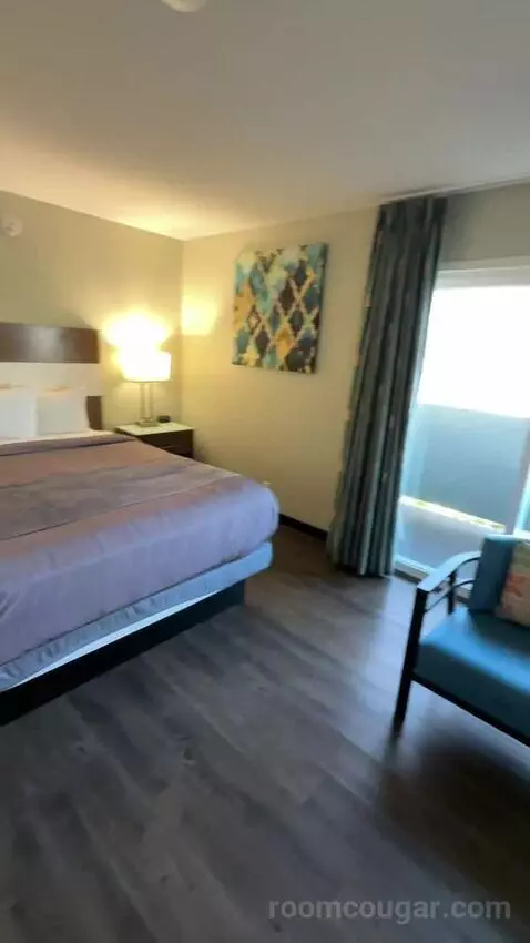 King Room (#253) bed picture #4