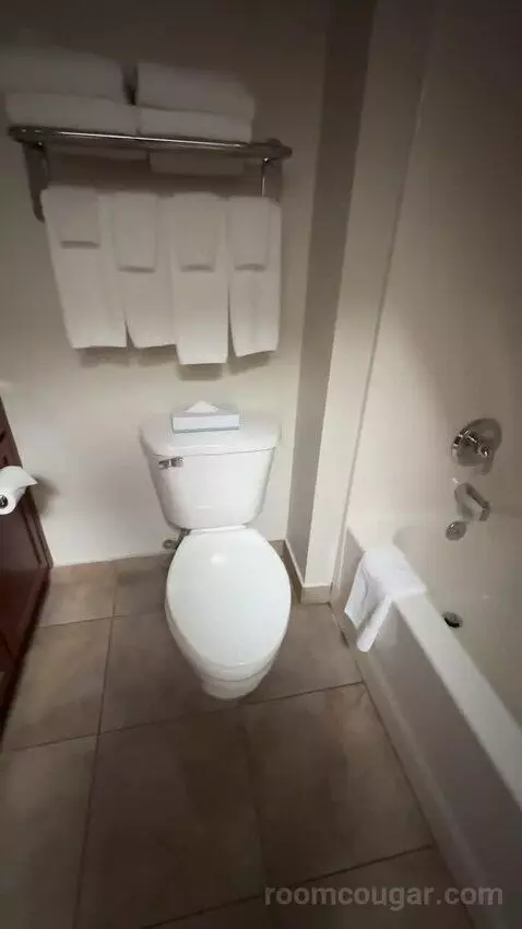 One-Bedroom Queen Suite (#313) picture #11