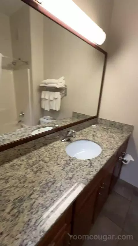 One-Bedroom Queen Suite (#313) picture #12