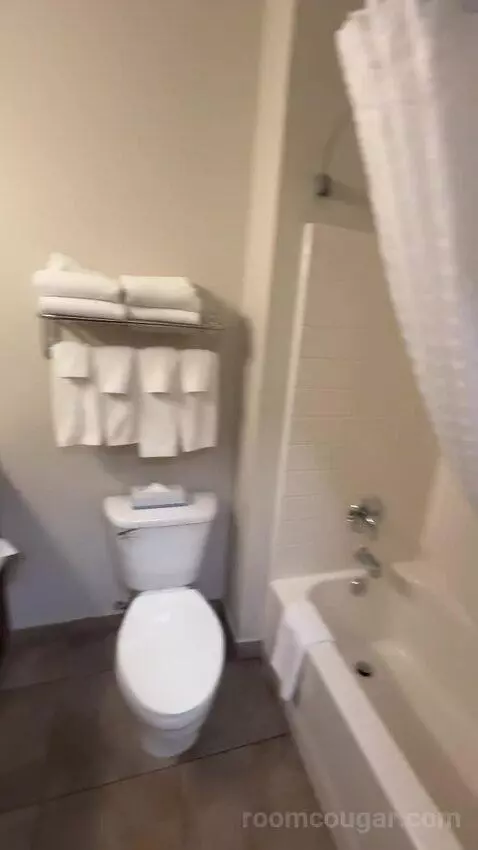 One-Bedroom Queen Suite (#313) picture #13