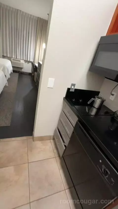 One-Bedroom Queen Suite (#313) picture #8