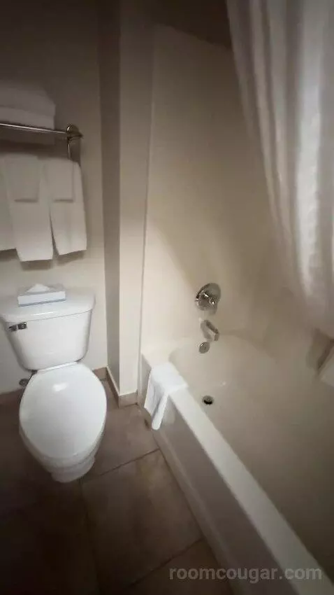 One-Bedroom Queen Suite (#313) picture #10
