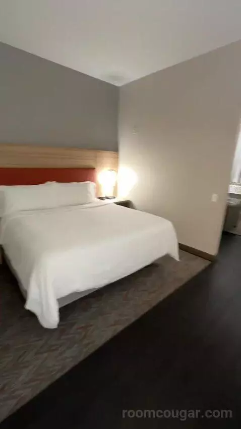 King Suite (#302) bed picture #4