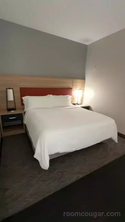 King Suite (#302) bed picture #6