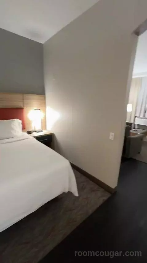 King Suite (#302) bed picture #10