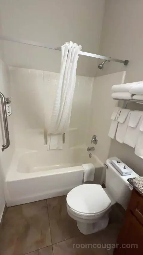 King Suite (#302) bathroom picture #7