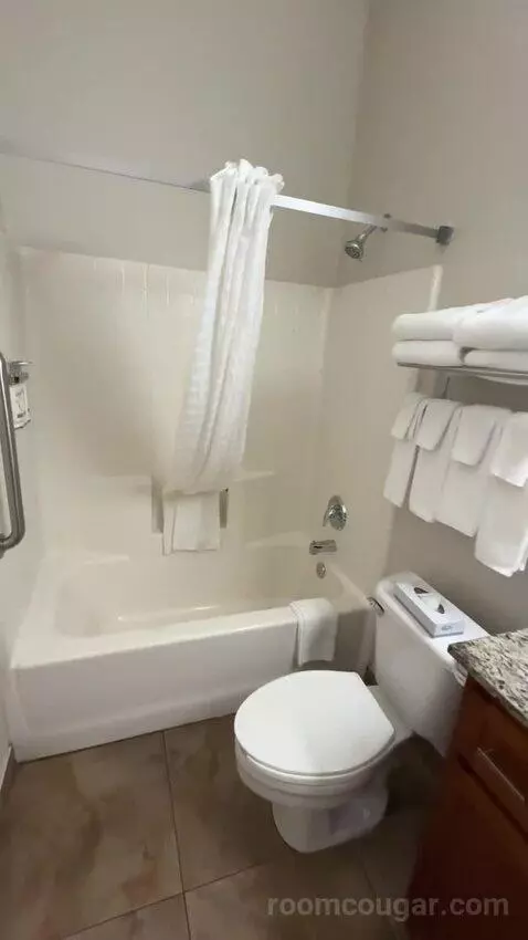 King Suite (#302) bathroom picture #8