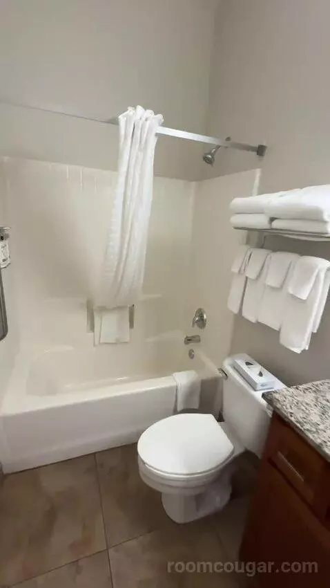 King Suite (#302) bathroom picture #9