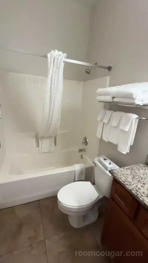 King Suite (#302) bathroom picture #10