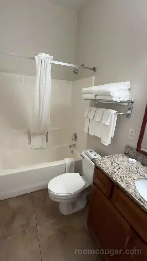 King Suite (#302) bathroom picture #12