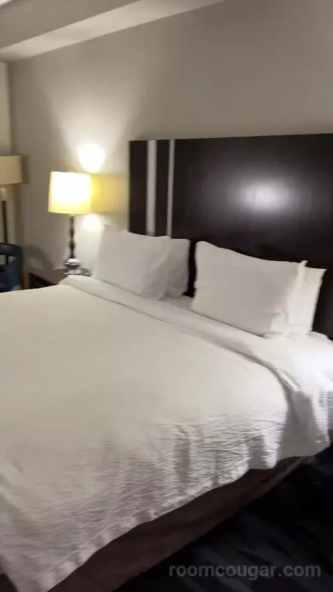 King Room (#153) bed picture #5
