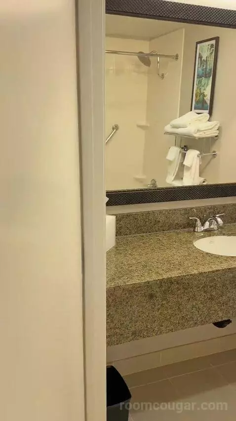 King Room (#153) bathroom picture #2