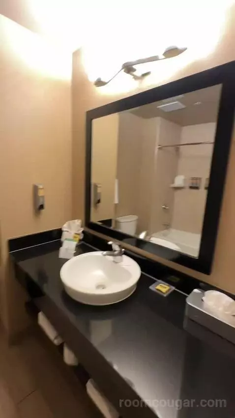 Queen Room with Two Queen Beds - Kitchenette (#243) bathroom picture #5