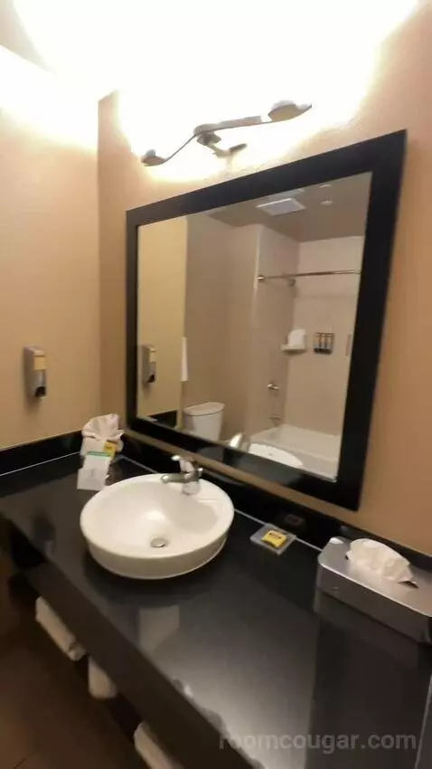 Queen Room with Two Queen Beds - Kitchenette (#243) bathroom picture #6