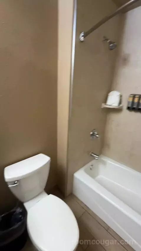 King Room with Kitchenette (#244) bathroom picture #4