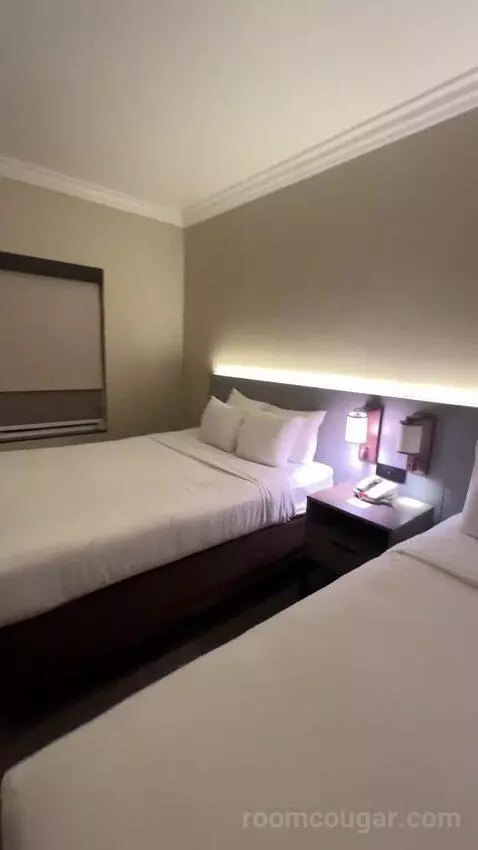 Junior Suite, 2 Queen Beds, Sofa Bed (#116) bed picture #7