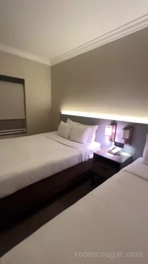 Junior Suite, 2 Queen Beds, Sofa Bed (#116) bed picture #8
