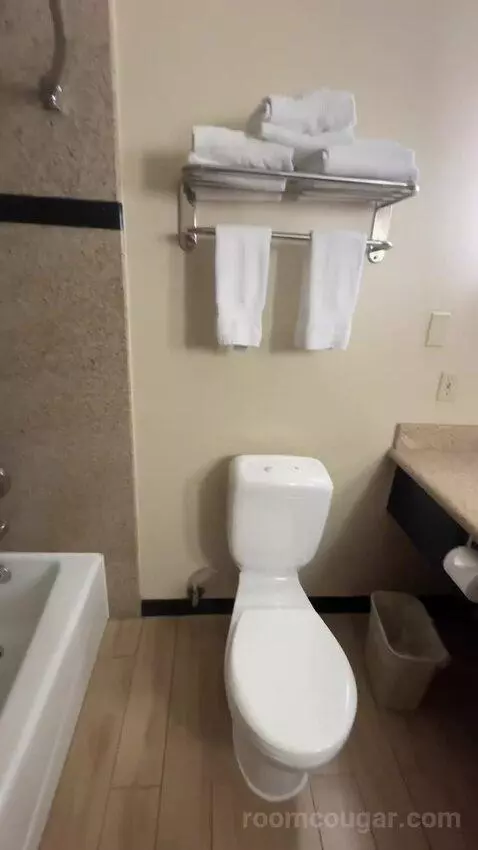 Junior Suite, 2 Queen Beds, Sofa Bed (#116) bathroom picture #5